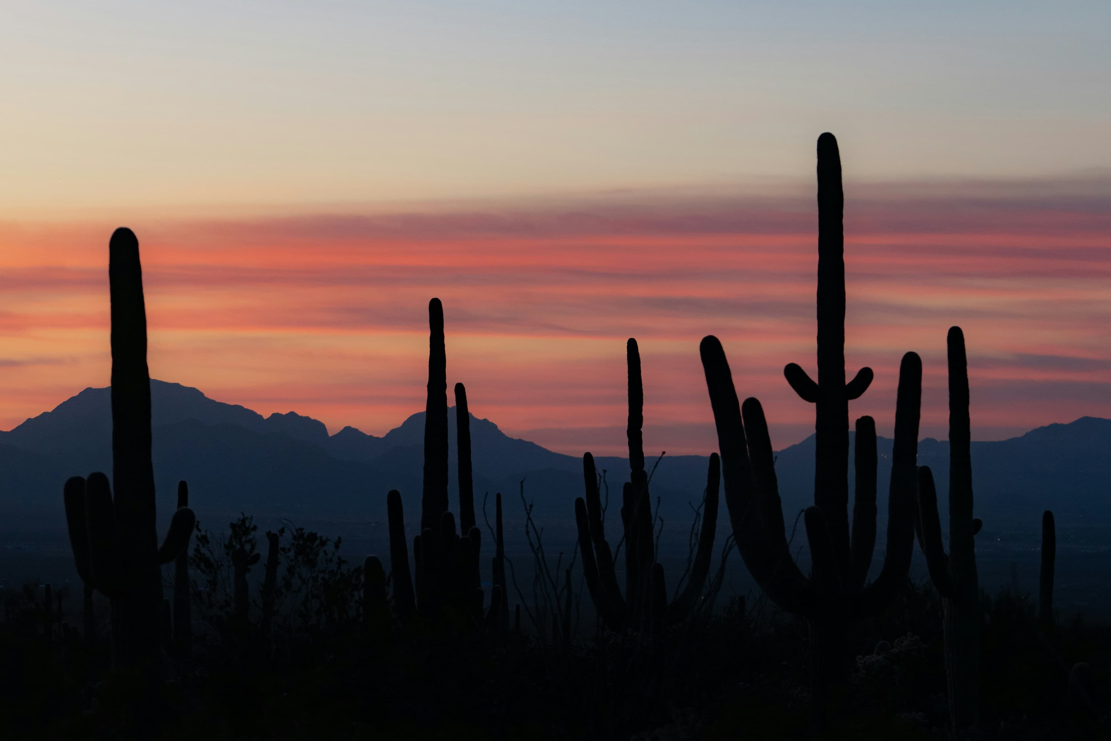 Image for Many farms, Arizona