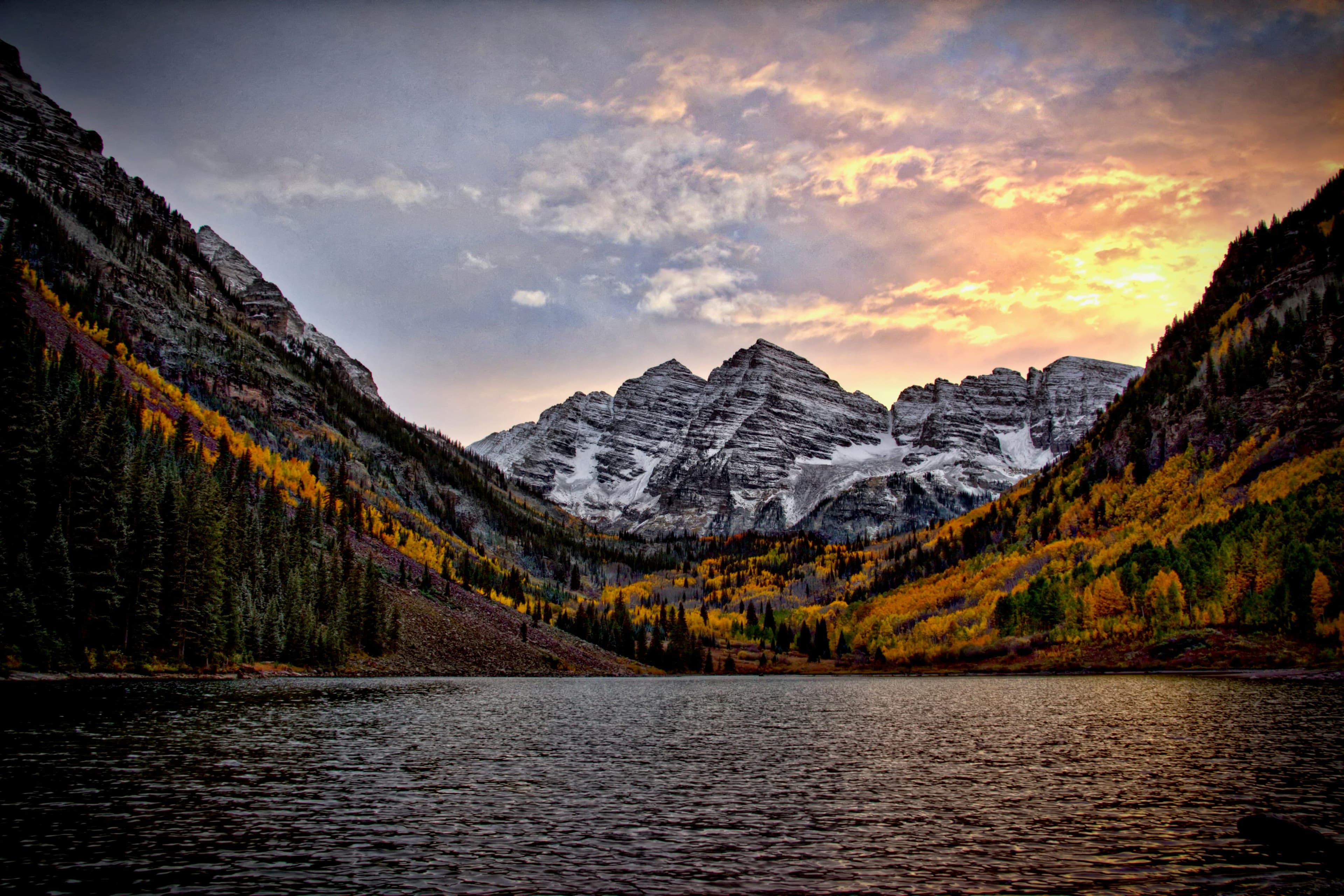 Image for Wild horse, Colorado