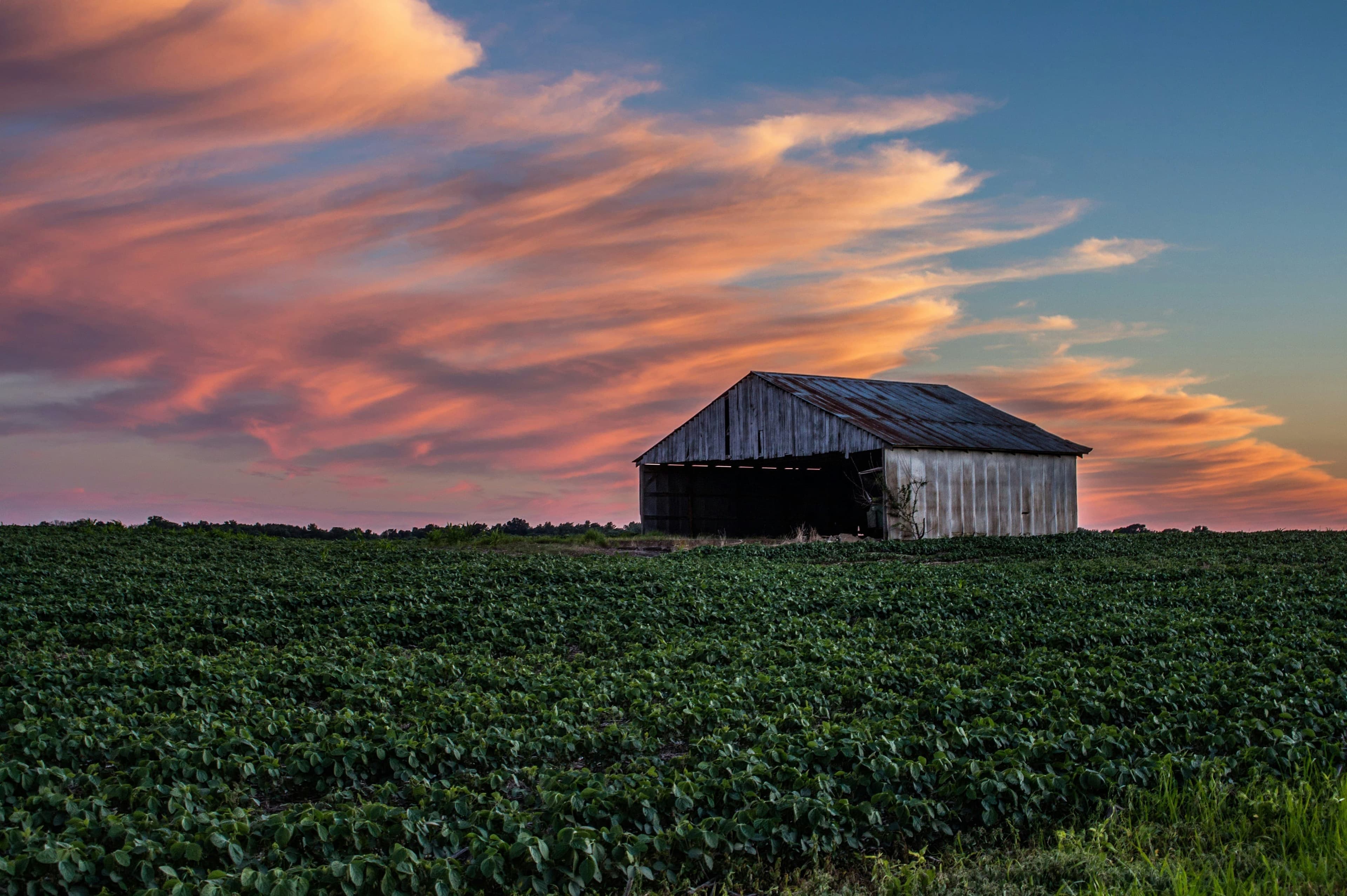 Image for Burlington, Indiana