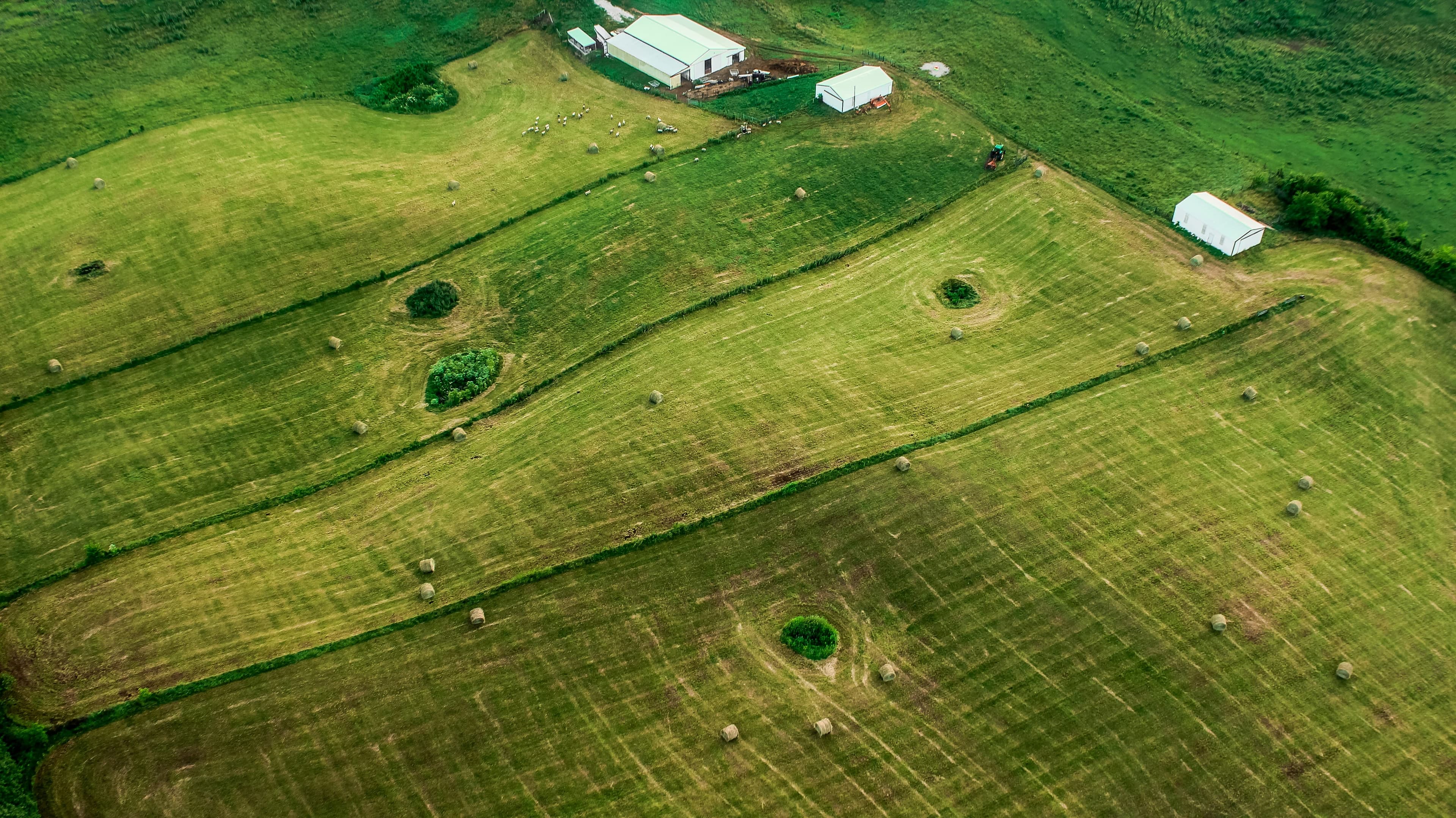 Image for Warfield, Kentucky