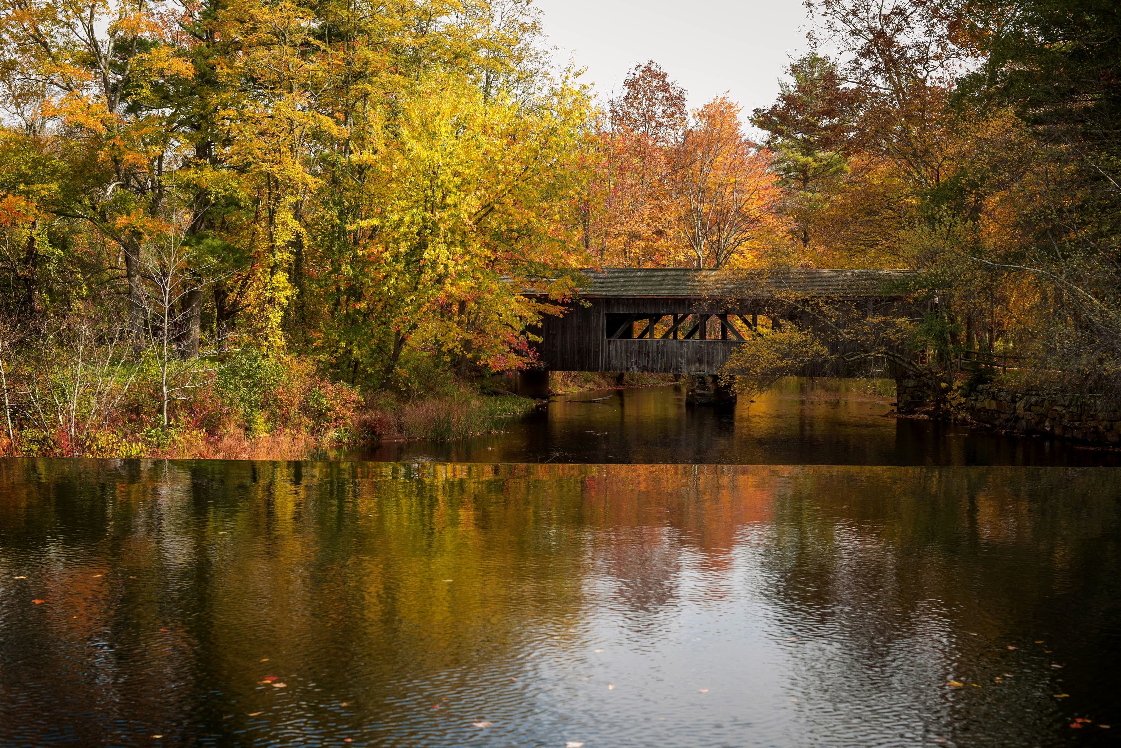 Image for Goshen, Massachusetts