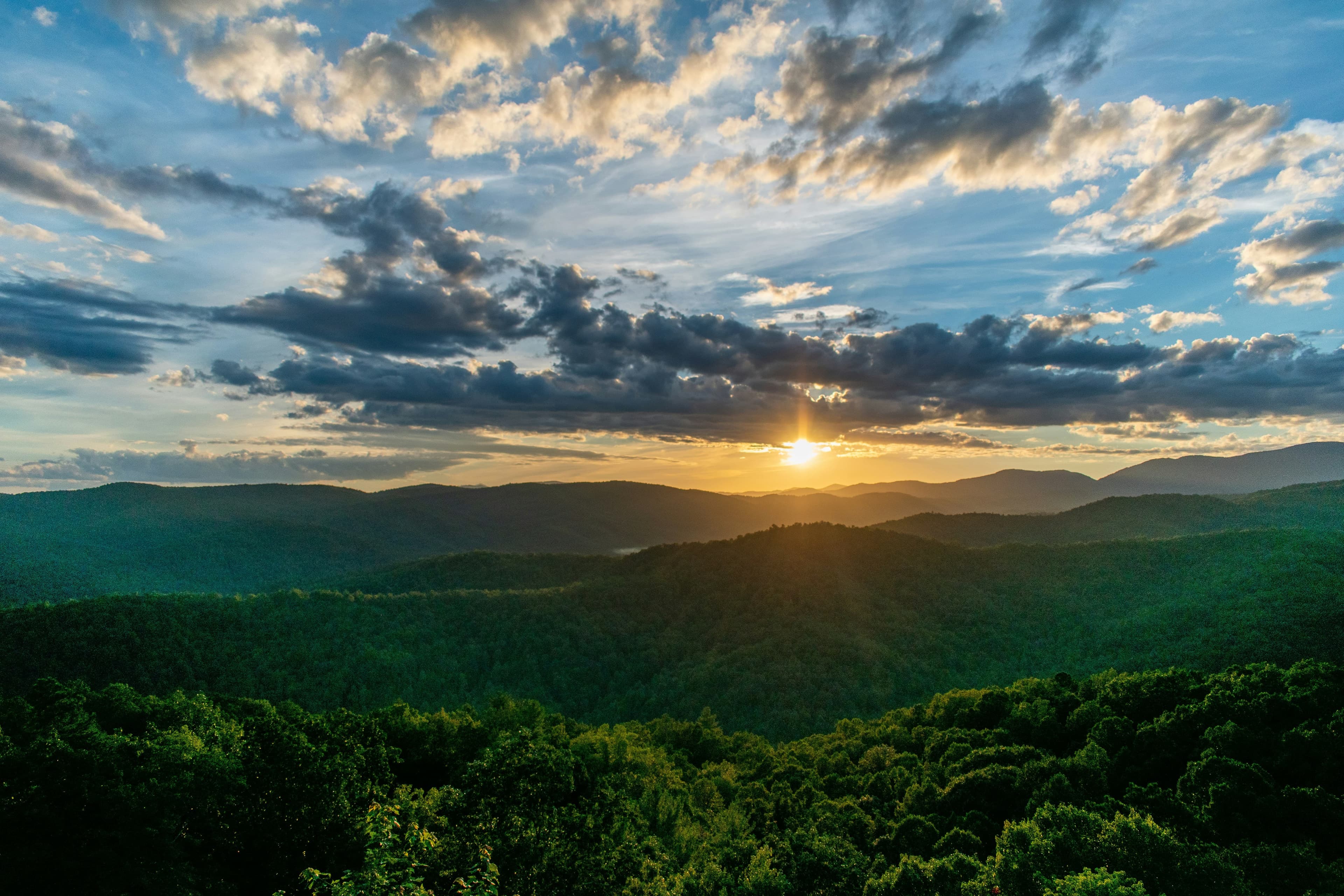 Image for Cedar mountain, North Carolina