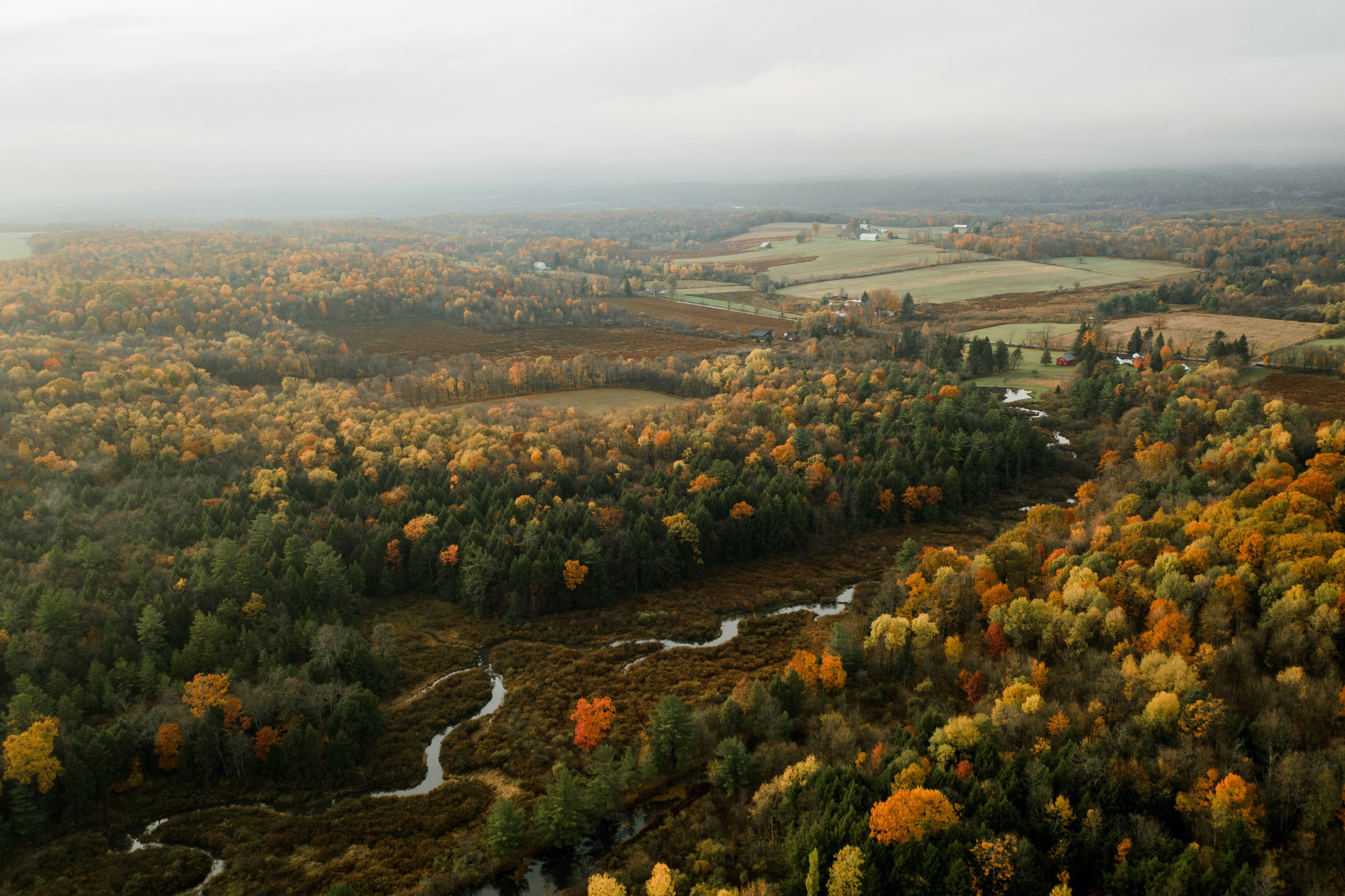 Image for Austin, Pennsylvania