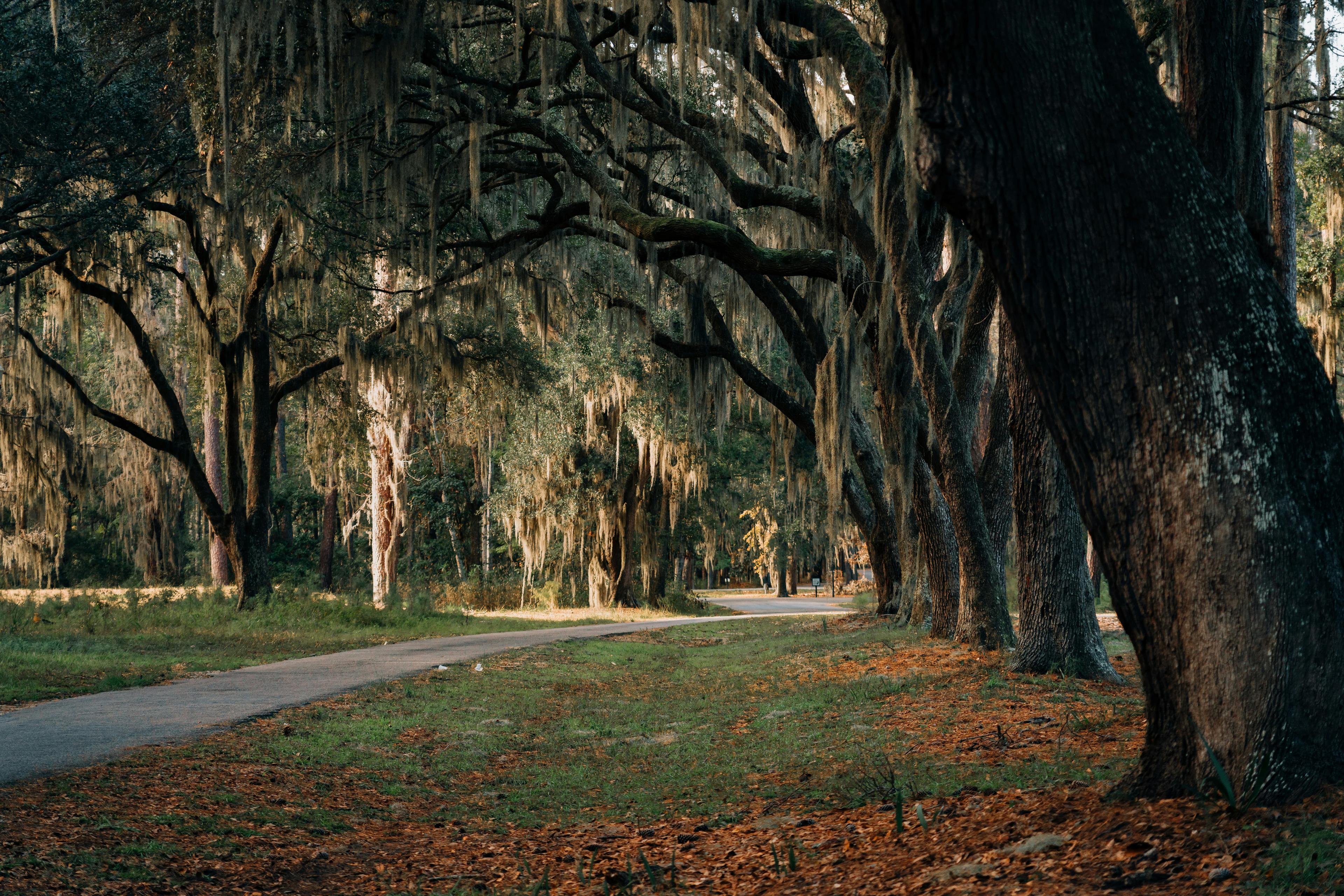 Image for Sunset, South Carolina