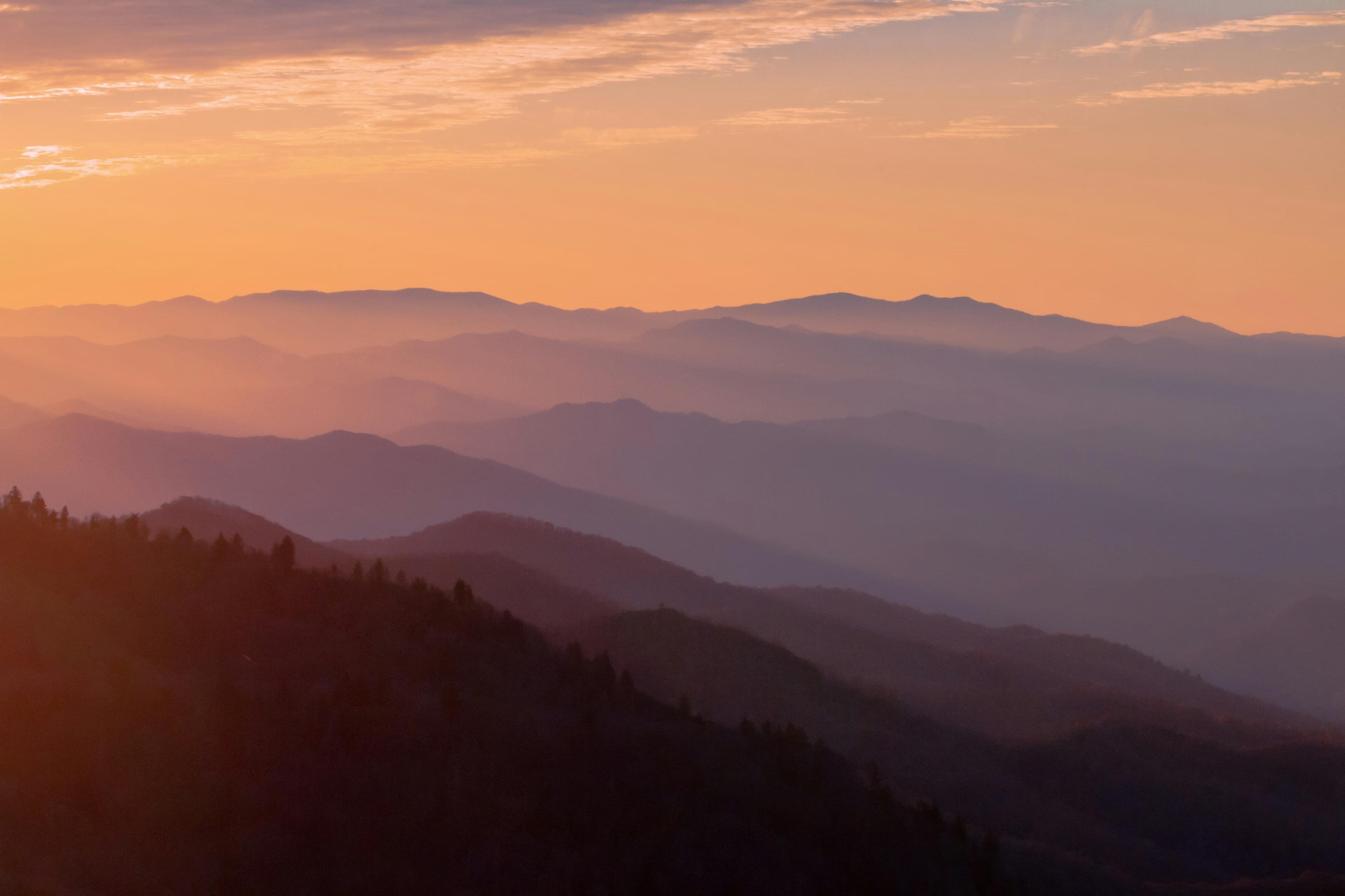 Image for Bells, Tennessee