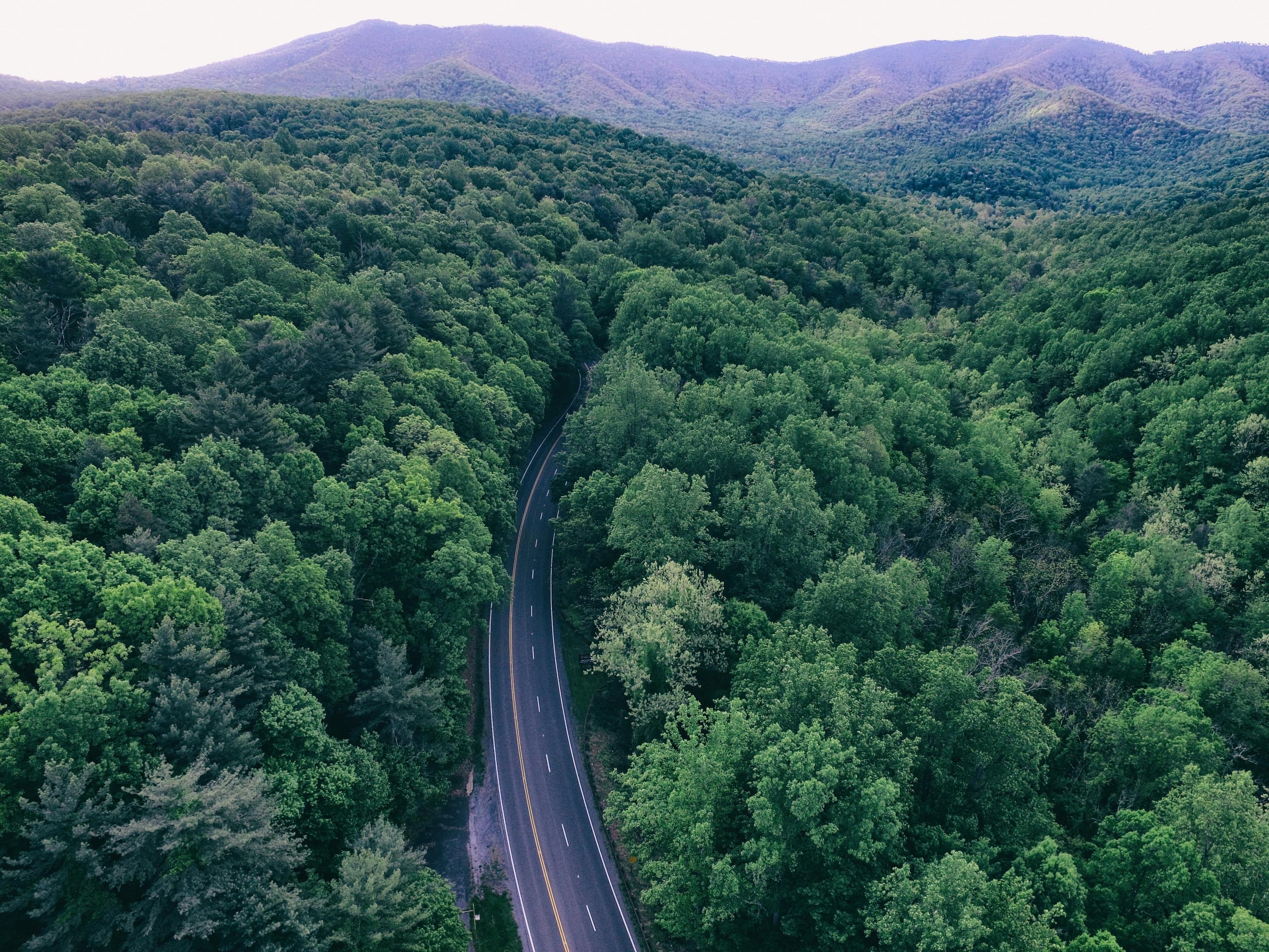 Image for Castlewood, Virginia